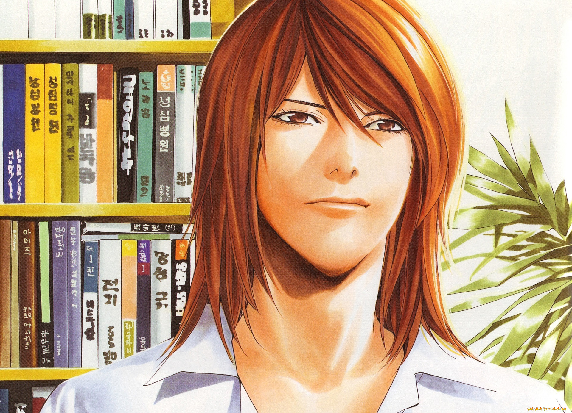 , hikaru no go, ko, yeong